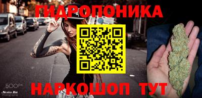 стафф Будённовск