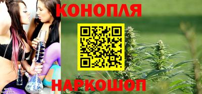 сатива Бузулук