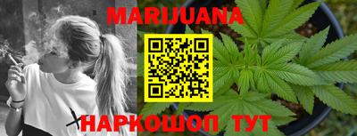 стафф Будённовск