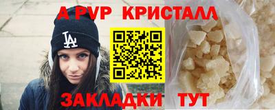 стафф Будённовск