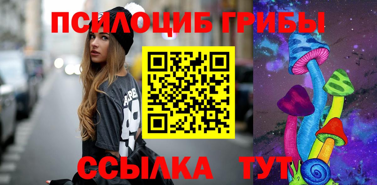 Чита  как найти   Вход с VPN  Псилоцибиновые грибы Psilocybine cubensis 